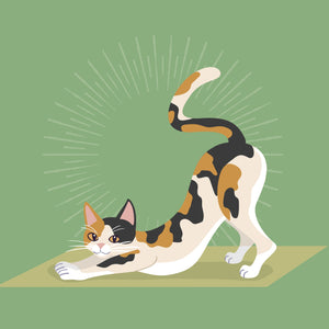 Cat Yoga Calendar 2025 Internal Image