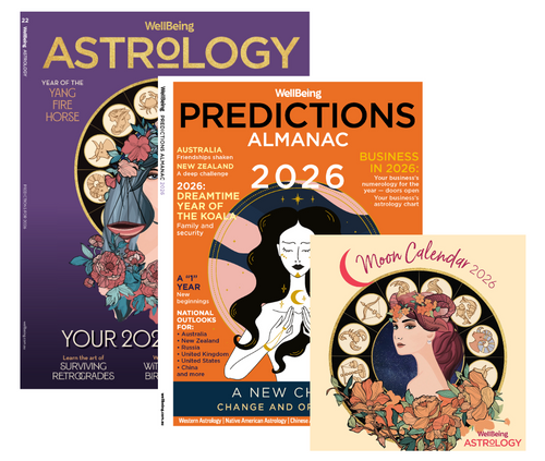 The Ultimate 2026 Astrology Bundle