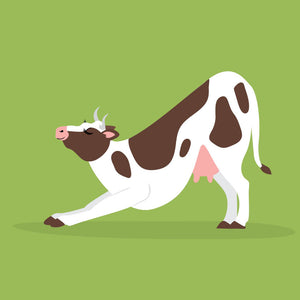 2024 Yoga Cows Calendar