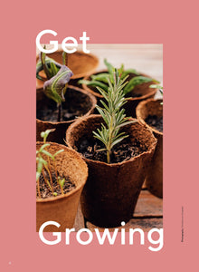Grow Food in Compact Gardens Herbs & Medicinal Plants Bookazine